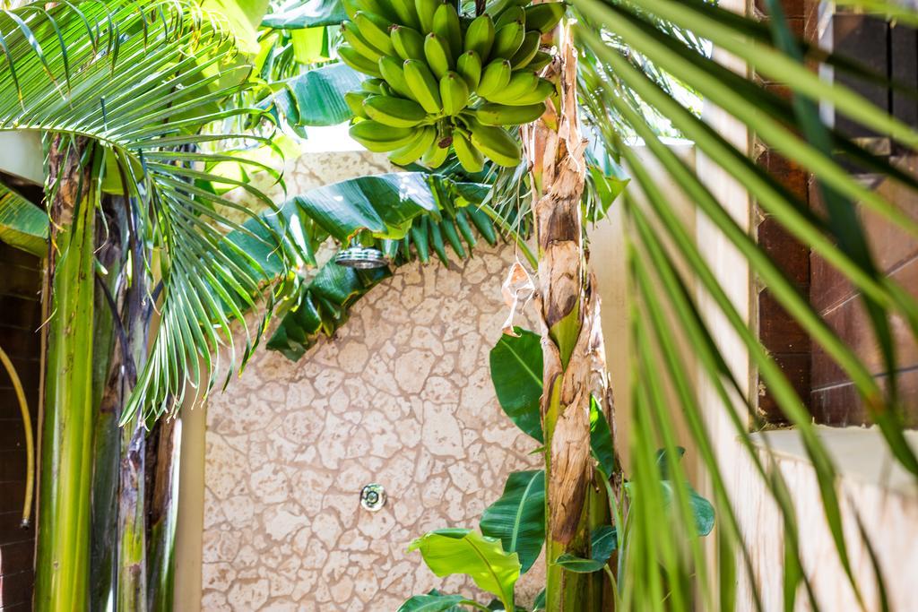 Bamboo Bonaire By Boutique Bonaire Unique Resorts Kralendijk  Ngoại thất bức ảnh