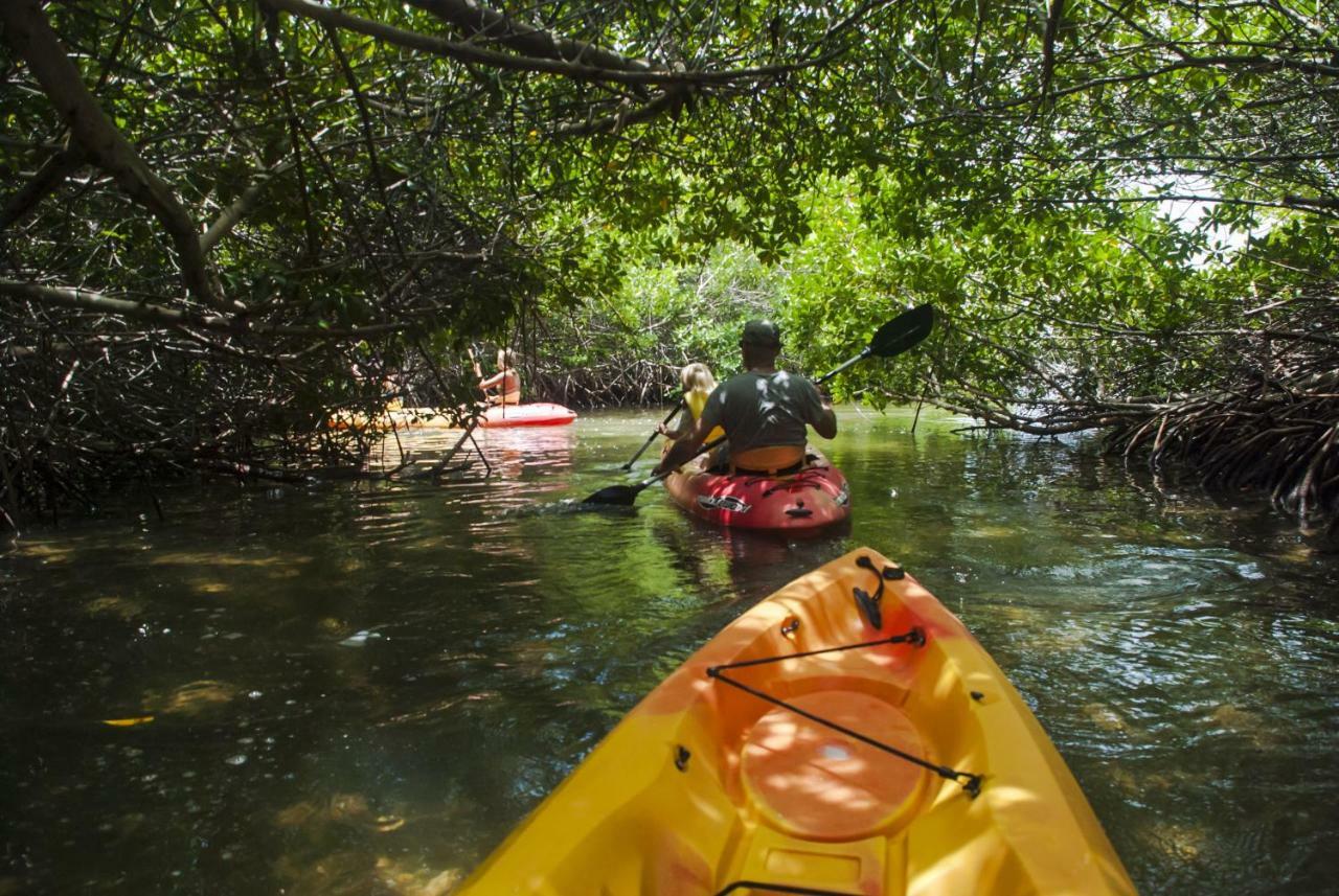 Bamboo Bonaire By Boutique Bonaire Unique Resorts Kralendijk  Ngoại thất bức ảnh